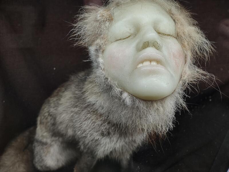 Fox Death Mask