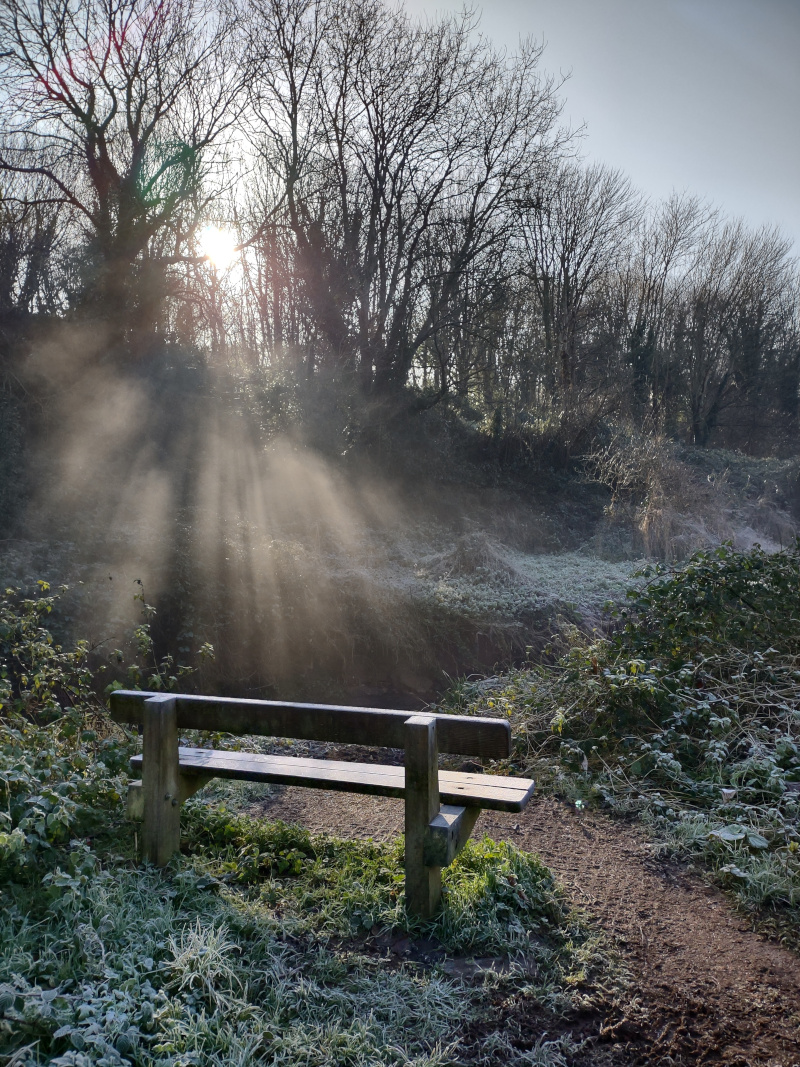 bench