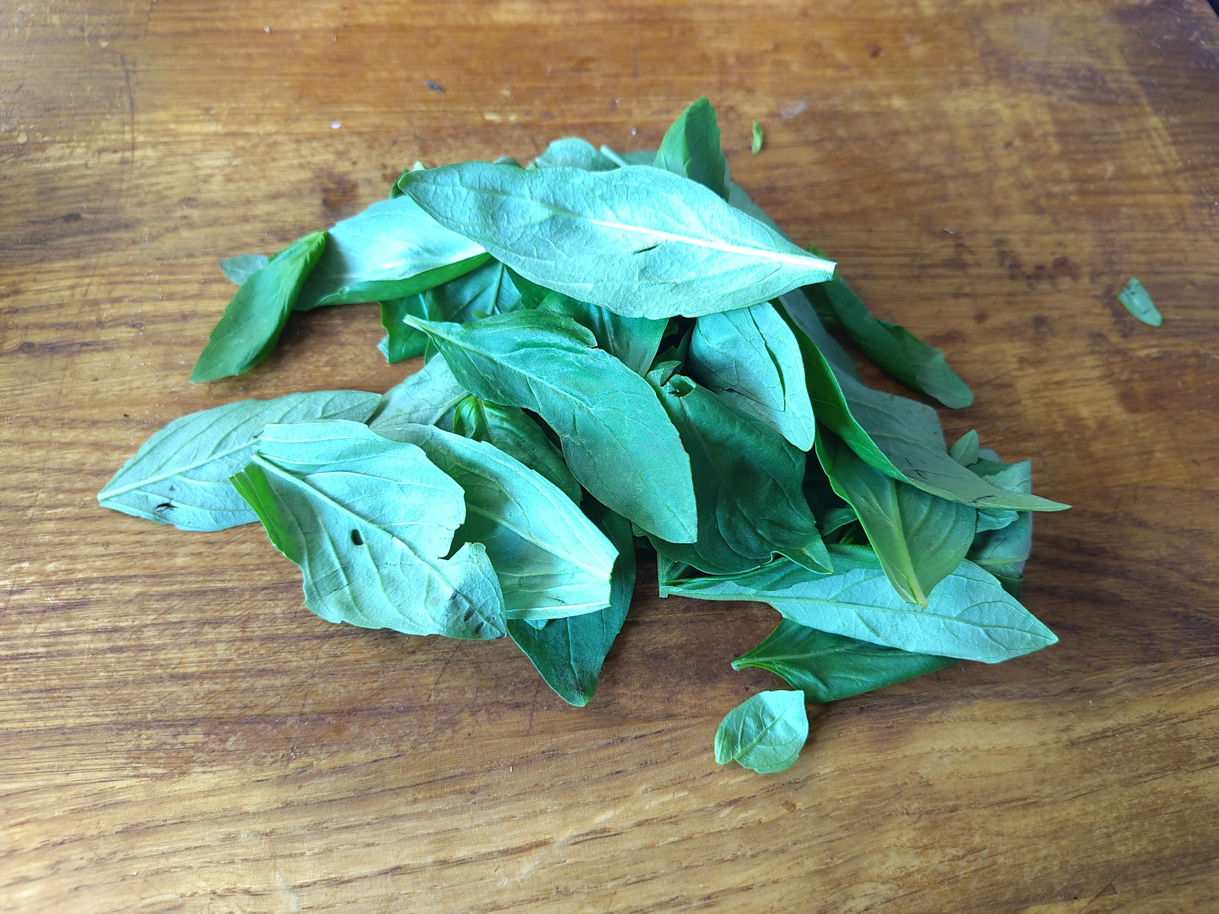 Basil